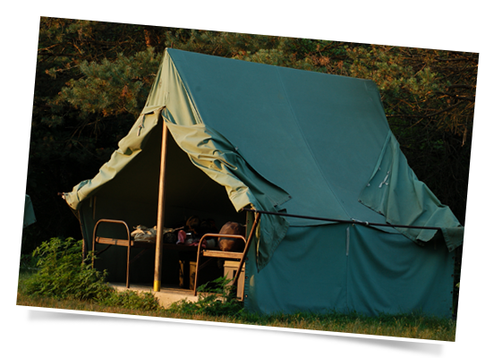 Summer Camp
